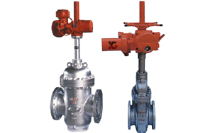 늄�ƽ���l�y